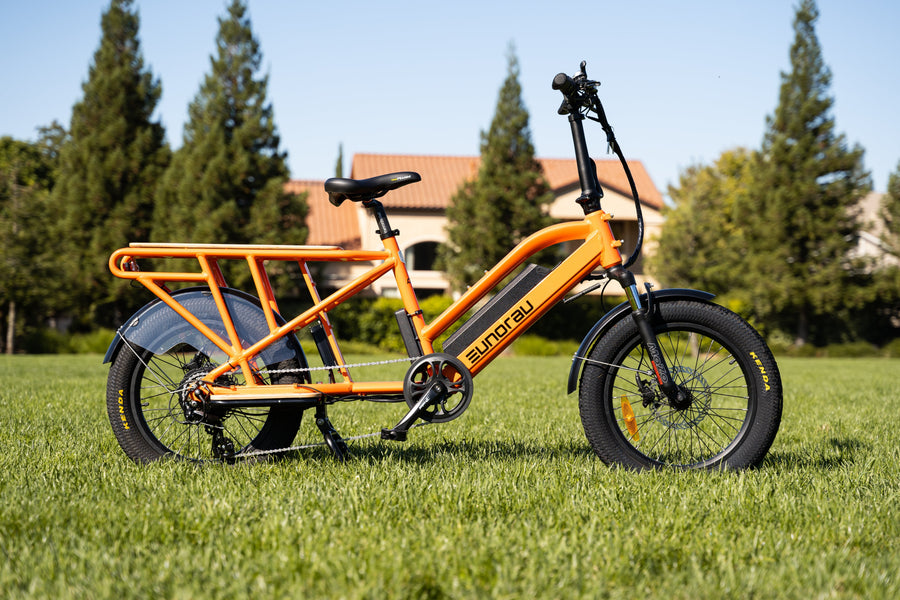 Best E-Bikes for Carrying Kids & Cargo