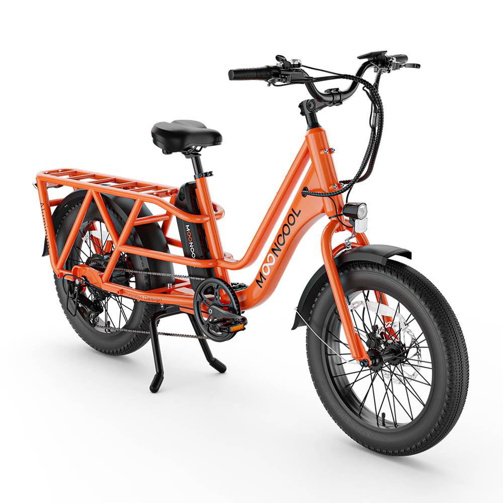 E-Bike Cargo CG2