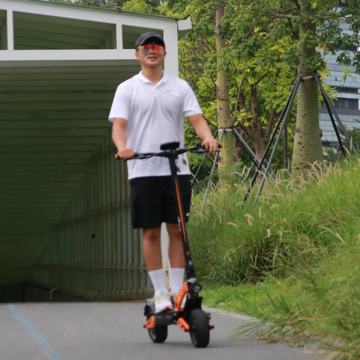 Freego C10 Pro Landtiger Double system Folding Electric Scooter