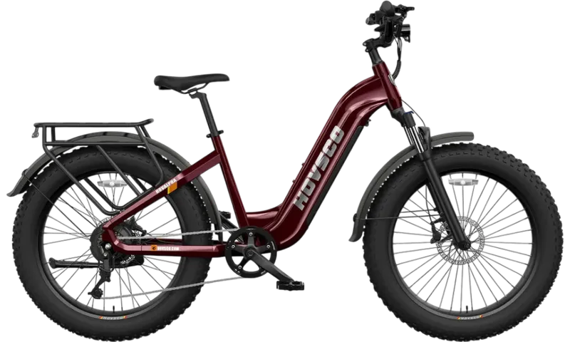 HOVSCO™ HovAlpha 26" Step-Thru Fat Tire Ebike