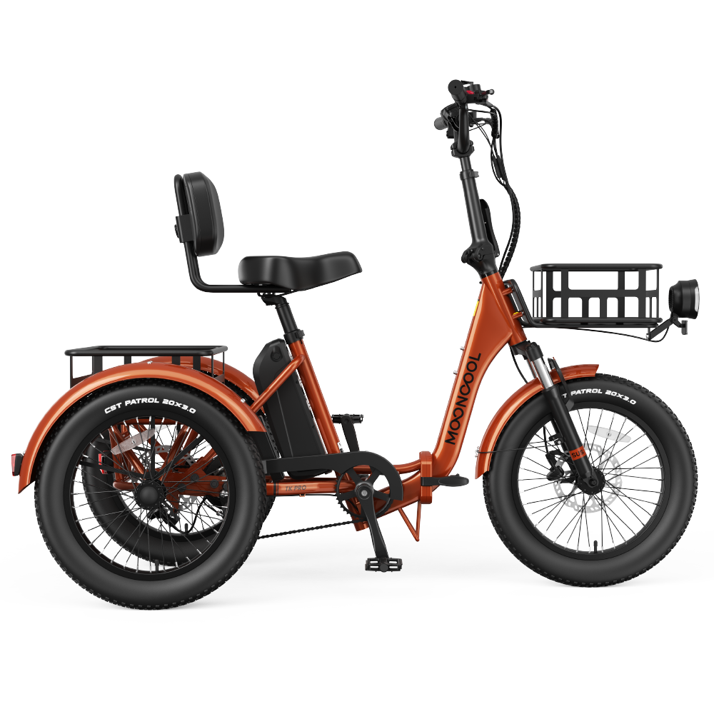 TK Pro Powerful and Comfortable Electric Tricycle