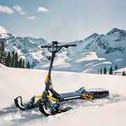 ICEX 1.0