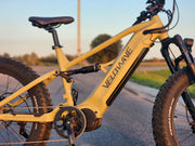 Brawny XM MTB Electric Mountain Bike for Extreme Adventures