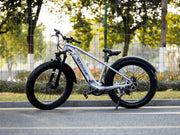 Ranger 2.0 Fat Tire All-Terrain Electric Bike