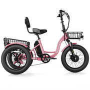 Electric tricycle with wide tires TK1