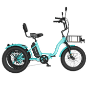 FT1 Fat Tire Electric Trike