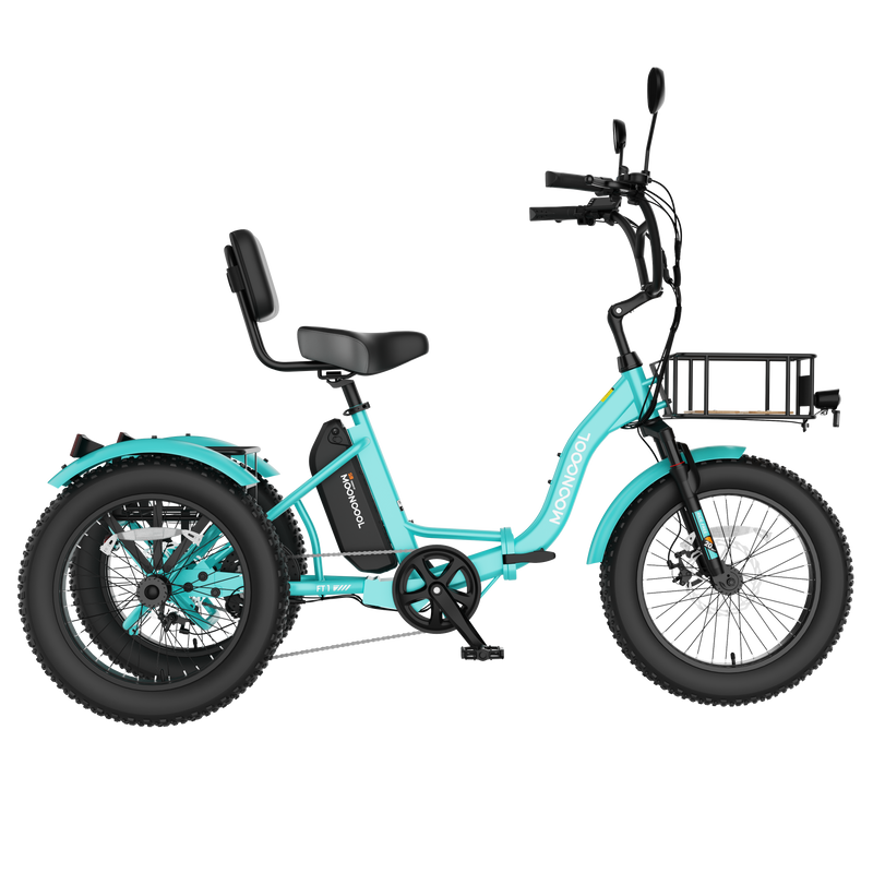 FT1 Fat Tire Electric Trike