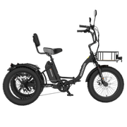 FT1 Fat Tire Electric Trike