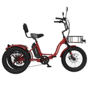 FT1 Fat Tire Electric Trike
