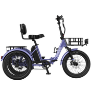 TK2 Folding Electric Trike