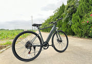 Freego E7 Electric Bicycle for comfortable city commuting