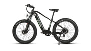 EUNORAU FAT-AWD 2.0 Electric Bike