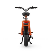 E-Bike Cargo CG2