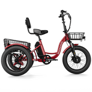 Electric tricycle with wide tires TK1