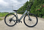 Freego E7 Electric Bicycle for comfortable city commuting