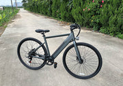 Freego E7 Electric Bicycle for comfortable city commuting