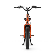 E-Bike Cargo CG2
