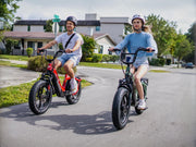 Pony Compact Step-Thru E-Bike