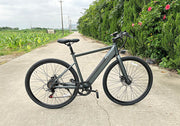 Freego E7 Electric Bicycle for comfortable city commuting