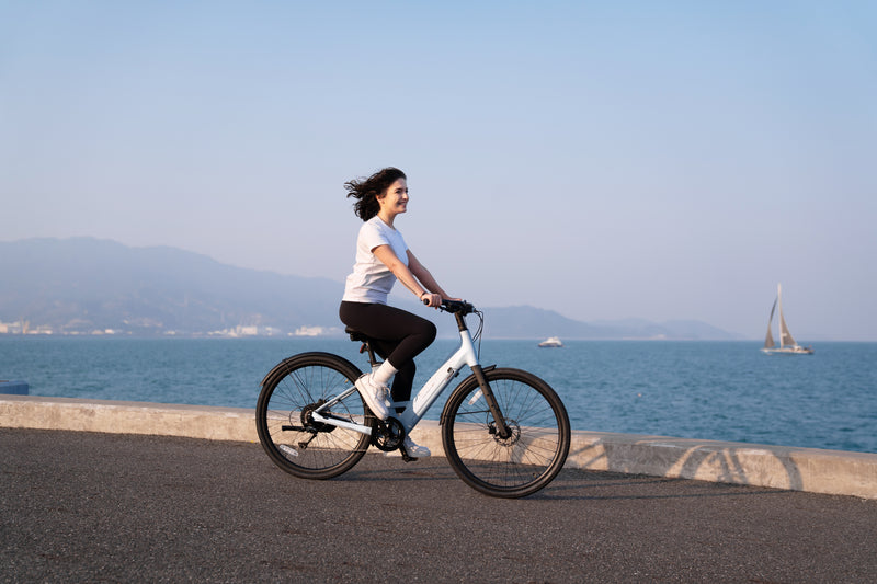 Carbon 1 Step-Thru E-Bike