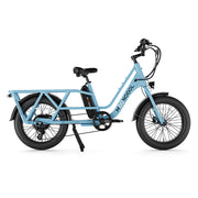E-Bike Cargo CG2