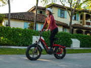 Pony Compact Step-Thru E-Bike