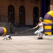 INMOTION E20 Electric Unicycle - image 4