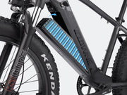 Ranger All-Terrain Electric Bicycle with Large Volume Tires