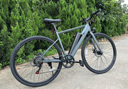 Freego E7 Electric Bicycle for comfortable city commuting