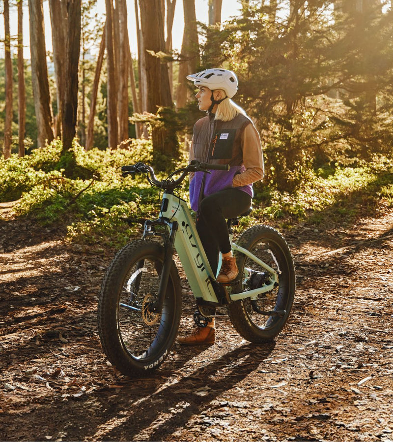 Cyrusher Aura Step-Through Electric Bike