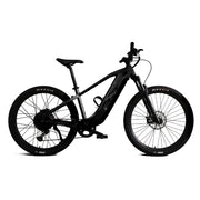 Touring e-Bike