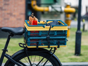Comfortable Foldable Rear Basket for Velowave Electric Bicycles