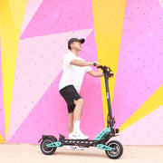 Freego C10 Landrider Multi-foldable Electric Scooter