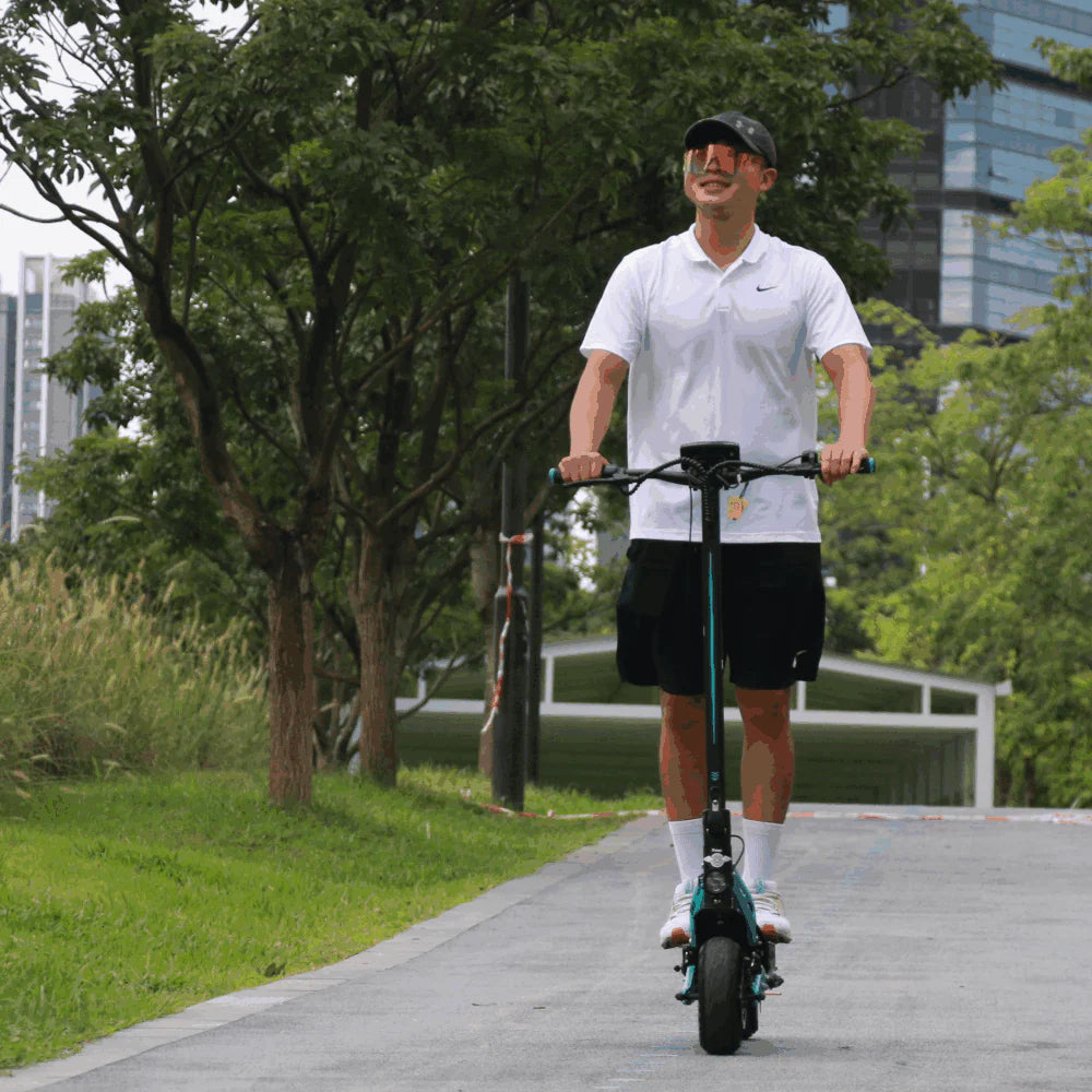 Freego C10 Landrider Multi-foldable Electric Scooter