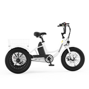 CD1 Electro Youth Trike for Active Adventures