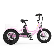 CD1 Electro Youth Trike for Active Adventures