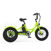 CD1 Electro Youth Trike for Active Adventures