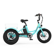 CD1 Electro Youth Trike for Active Adventures