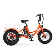 CD1 Electro Youth Trike for Active Adventures