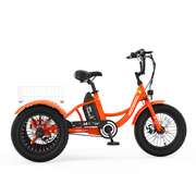 CD1 Electro Youth Trike for Active Adventures