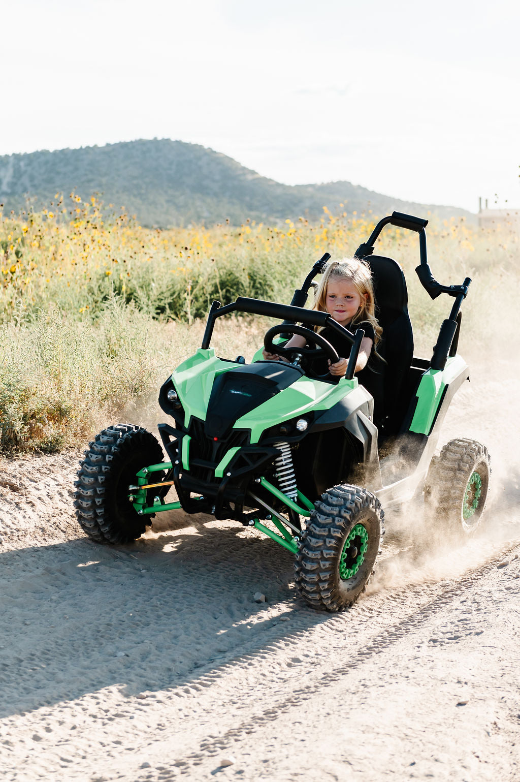 Electric Mini UTV (1 Seat)
