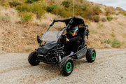 Electric Go-Kart (2 Seat)