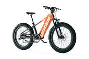 Cyrusher L5 Electric Bike