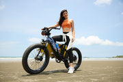 Cyrusher Roam Step-Through Electric Bike