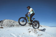 Cyrusher Ranger 2.0 Step-Over Electric Bike
