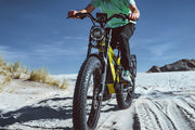 Cyrusher Ranger 2.0 Step-Over Electric Bike