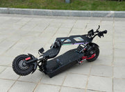 Freego D11 Landtiger Electric Scooter