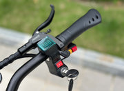 Freego D11 Landtiger Electric Scooter