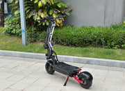Freego D11 Landtiger Electric Scooter