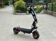 Freego D11 Landtiger Electric Scooter